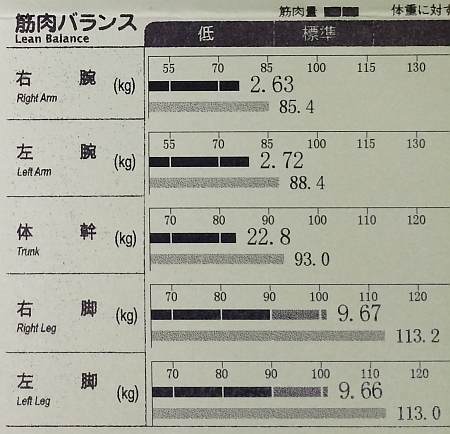 スポーツクラブ「メガロス」に約 3ヶ月間、ほぼ週3回（1回2時間半）通った成果はいかに！