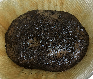 2015-12-06 07.31.46