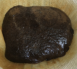 2016-01-08 08.43.49