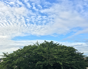 日の出が一番早いのはいつなの？夏至ではないの？