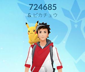 ポケモンgo でピカチュウを相棒にして 一緒に歩きながらアメを貯めて進化させたまではいいけど なにごとも経験